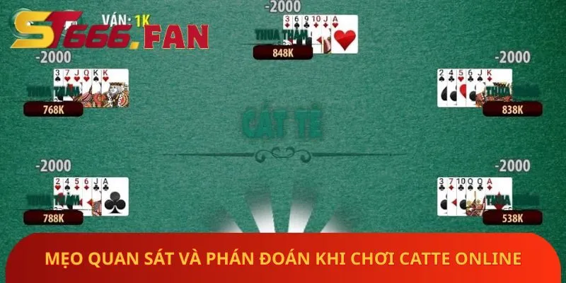 meo-quan-sat-va-phan-doan-khi-choi-catte-online